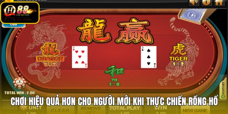 choi-hieu-qua-hon-cho-nguoi-moi-khi-thuc-chien-rong-ho choi-hieu-qua-hon-cho-nguoi-moi-khi-thuc-chien-rong-ho