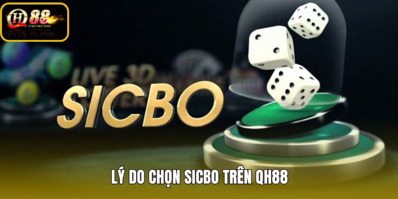 ly-do-chon-sicbo-tren-qh88 ly-do-chon-sicbo-tren-qh88